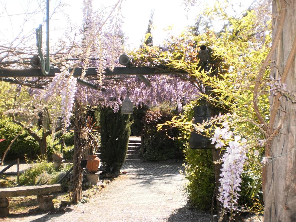 לינה וארוחת בוקר Rabaçal Casa Do Redondo מראה חיצוני תמונה